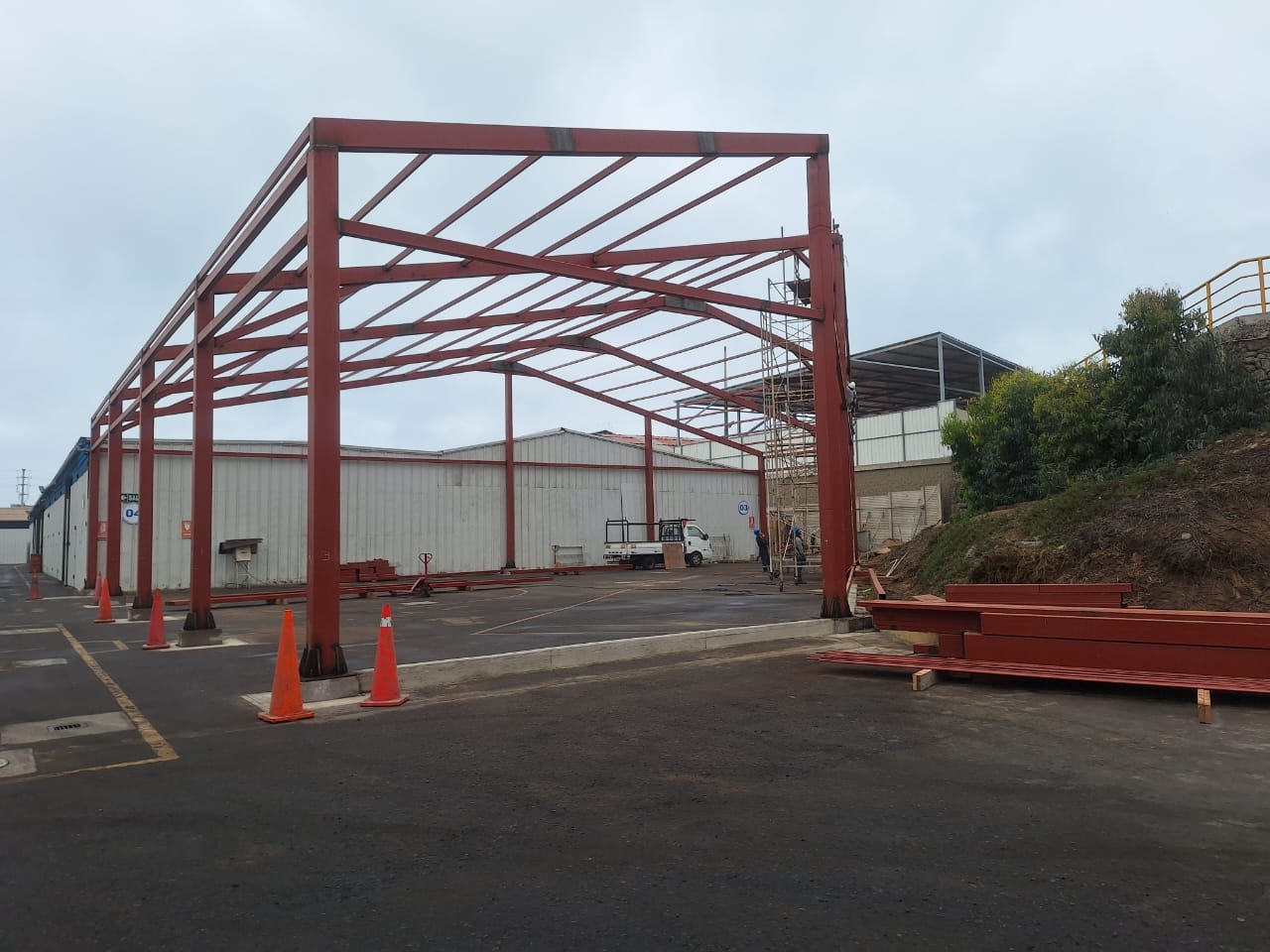 Carretera entre árboles